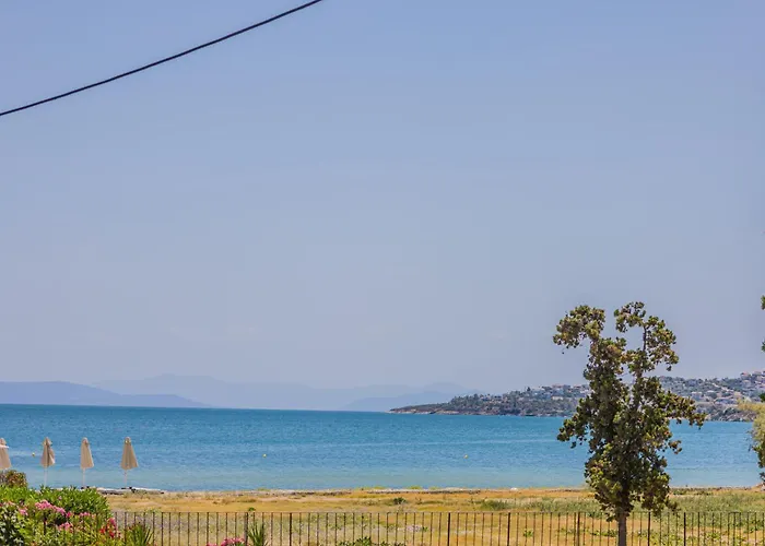 Amaze Place With A Sea View By Salt * Volos